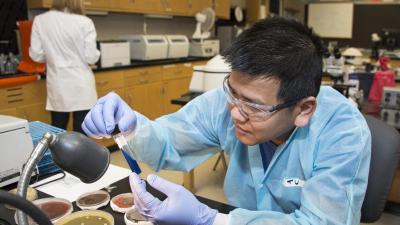 Student working in a lab