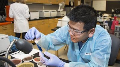 Medical Lab Tech student working with petri dishes