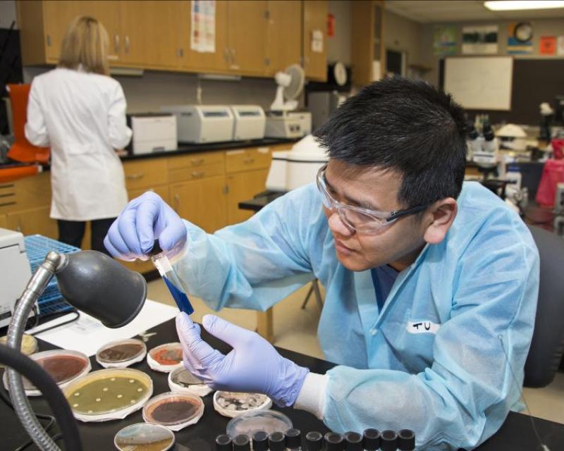 Student working in a lab